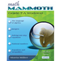 Math Mammoth Grade 7-A Worktext - Paperback