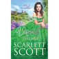 Viscount of Villainy - Paperback