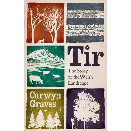 Tir: The Story of the Welsh Landscape - Hardcover