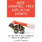 More Shrapnel Free Explosive Growth: Design for a fast-changing world of complexity - Paperback