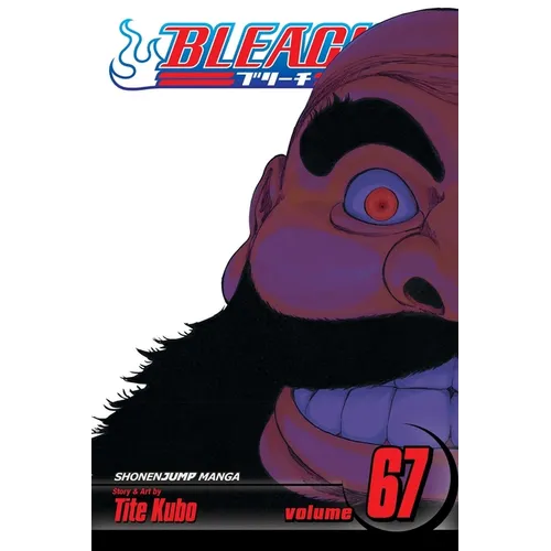 Bleach, Vol. 67 - Paperback