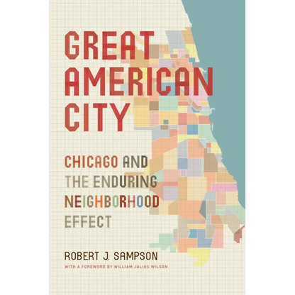 Great American City: Chicago and the Enduring Neighborhood Effect - Paperback