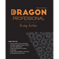 Dragon Professional - A Step Further: Automate virtually any task on your PC by voice - Paperback