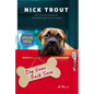 Dog Gone, Back Soon - Paperback