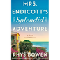 Mrs. Endicott's Splendid Adventure - Hardcover