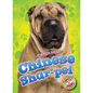 Chinese Shar-Pei - Library Binding