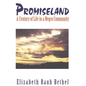 Promiseland: A Century of Life in a Negro Community - Paperback