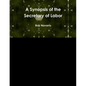 A Synopsis of the Secretary of Labor - Paperback