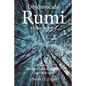 Desconocido Rumi: Selección de Rubaís de Maulana Jalaluddin Rumi y Comentarios por Nevit O. Ergin - Paperback