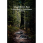 Good, Better, Best: A Guidebook for Performance Auditing - Paperback