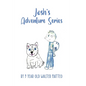 Josh's Adventure Series: by 9 year old Walter Matteo - Paperback