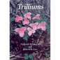 Trilliums - Paperback