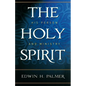 The Holy Spirit His Person & Ministry - Paperback