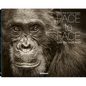 Face to Face: With the Great Apes - Hardcover