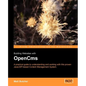 Building Websites with Opencms - Paperback