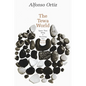 The Tewa World: Space, Time, Being and Becoming in a Pueblo Society - Paperback