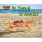 Is Sand a Rock? - Paperback