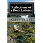 Reflections of a Rock Lobster: A Story About Growing Up Gay - Paperback