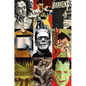 Frankenstein: A Cultural History - Hardcover