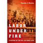 Labor Under Fire: A History of the AFL-CIO Since 1979 - Paperback
