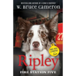 Ripley: Fire Station Five: Dogs with a Purpose - Paperback