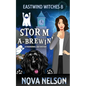 Storm a-Brewin': A Paranormal Cozy Mystery - Paperback