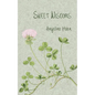 Sweet Wisdoms - Paperback