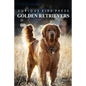 Golden Retrievers - Curious Kids Press: Kids book about animals and wildlife, Children's books 4-6 - Paperback