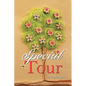 Special Tour - Paperback