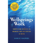 Wellsprings of Work: Surprising Sources of Meaning and Motivation in Work - Paperback