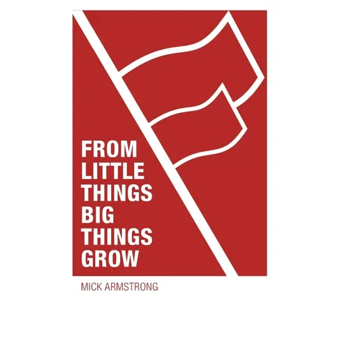 From little things big things grow: Strategies for building revolutionary socialist organisations - Paperback