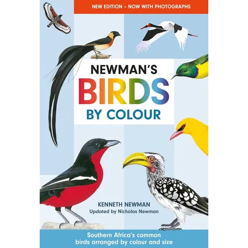 Newman's Birds by Colour: Southern Africa's Common Birds Arranged by Colour and Size - Paperback