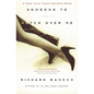 Someone to Watch Over Me: Stories - Paperback