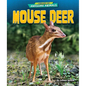 Mouse Deer - Library Binding