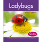 Ladybugs - Paperback