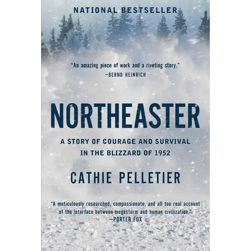 Northeaster: A Story of Courage and Survival in the Blizzard of 1952 - Hardcover