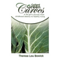 Collard Green Curves: A fat girl's Journey from Childhood Obesity to Healthy Living - Hardcover