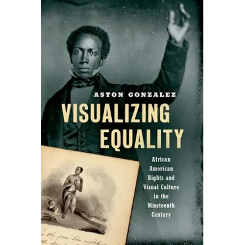Visualizing Equality: African American Rights and Visual Culture in the Nineteenth Century - Paperback