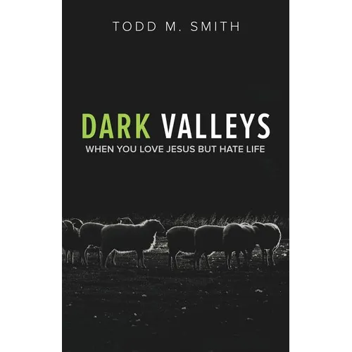 Dark Valleys: When You Love Jesus But Hate Life - Paperback