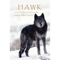 Hawk - Paperback