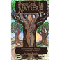 Rooted In Nature: Stories of Hope, Healing and Feminine Wisdom - Paperback