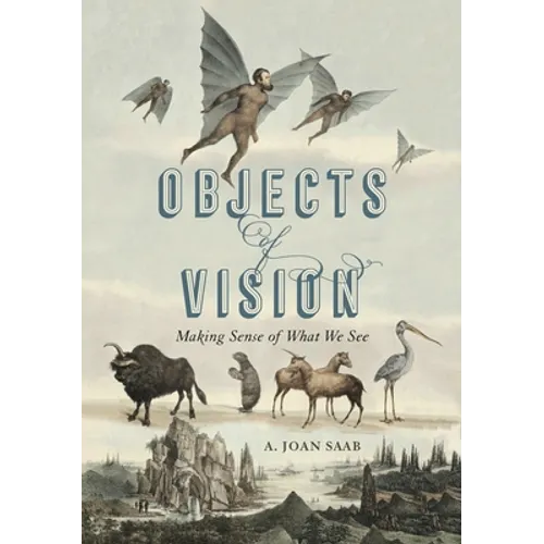 Objects of Vision: Making Sense of What We See - Paperback