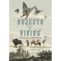 Objects of Vision: Making Sense of What We See - Paperback
