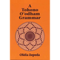 A Tohono O'odham Grammar - Paperback