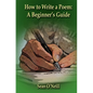 How to Write a Poem: A Beginner's Guide - Paperback