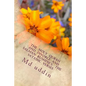 The Holy Quran and Divorce and Salman Rushdie's The satanic verses: The Holy Quran and human understandings. - Paperback