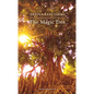 Magic Tree - Paperback