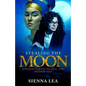 Stealing the Moon: A Woman's Quest to Heal the Shadow Self - Paperback