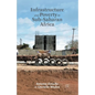 Infrastructure and Poverty in Sub-Saharan Africa - Paperback