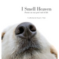I Smell Heaven: Poems on our pets' end of life - Hardcover